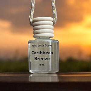 Caribbean Breeze Hanging Car Diffuser-Car Air Freshener