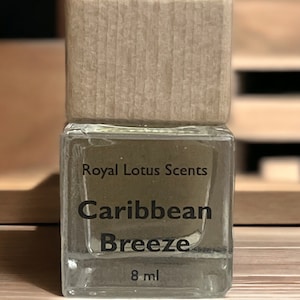 Caribbean Breeze Vent Car Diffuser-Car Air Fresheners