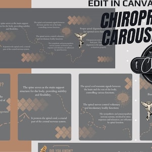 4 Page Spinal Column Digital Carousel for Chiropractors  Educational  Visual Guide  Download Edit Canva Instagram Social Media