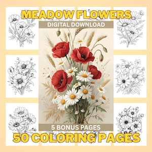 Meadow Flowers Coloring Pages: Botanical Art for Kids & Adults (PDF Download)