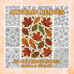 May include: A digital coloring book cover titled AUTUMN LEAVES 30 COLORING PAGES DIGITAL DOWNLOAD. The design features a central panel of colorful, patterned autumn leaves and acorns, surrounded by a border of black and white line art leaves.