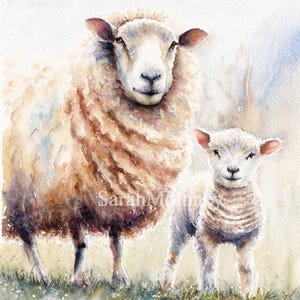 irish art sheep and lamb watercolor painting sheep in field