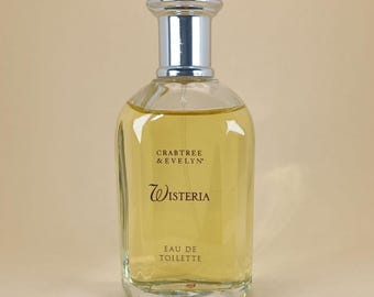 zimmerpflanze palme bestimmen Groe Yucca Palme kaufen  Green Me Up