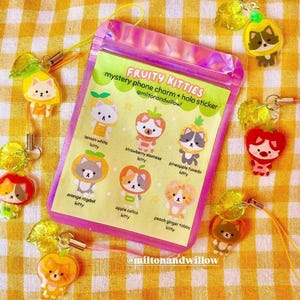 May include: A selection of Fruity Kitties phone charms and holo stickers. The charms depict cat characters styled as fruits. The packaging displays the text "FRUITY KITTIES" and the seller's Instagram handle, all on a yellow gingham background.