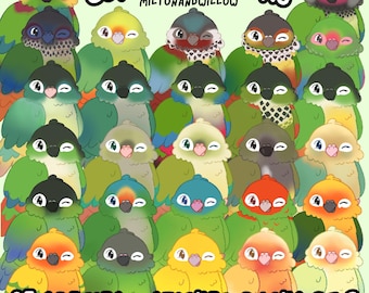 Conure Species Sticker Packs: Pick your own parrot stickers