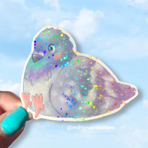 Naklejka Chonky Pigeon - Tęczowa Holograficzna Kawaii Ręcznie Robiona Naklejka Gruby Gruby Siedzący Uroczy Gołąb Ptak