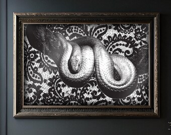 Arte de serpiente de bruja para un hogar gótico - JPEG de alta resolución