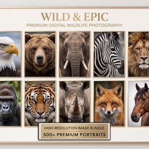 Puede incluir: Una colección digital titulada WILD & EPIC PREMIUM DIGITAL WILDLIFE PHOTOGRAPHY con nueve retratos de animales que incluyen un águila, oso, elefante, cebra, león, gorila, tigre, rinoceronte, zorro y caballo, con una etiqueta de 500+ PREMIUM PORTRAITS.