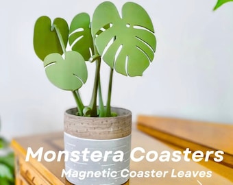 Monstera Coasters - Magnetic Leaves