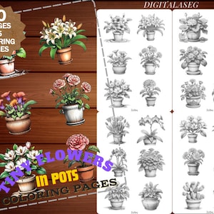 May include: A set of 90 coloring pages featuring tiny flowers in pots. The images are black and white line drawings, perfect for coloring. The set includes 15 different coloring pages, each with 6 different flower designs.