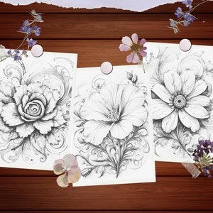 May include: Three black and white pencil drawings of flowers with intricate details. Each drawing is framed by a decorative border and features a different type of flower.