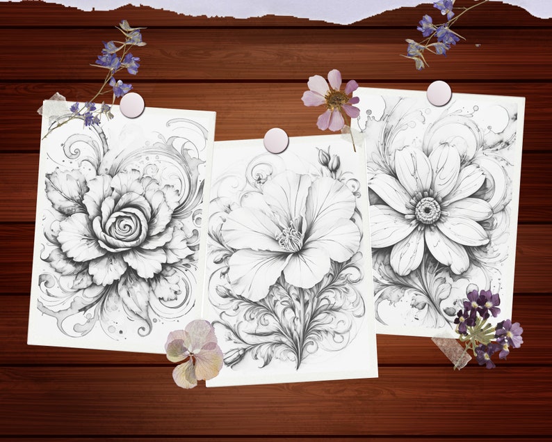 May include: Three black and white pencil drawings of flowers with intricate details. Each drawing is framed by a decorative border and features a different type of flower.