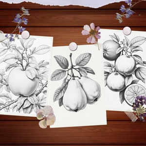 Peut inclure: Trois illustrations en noir et blanc de fruits sur des feuilles de papier s&eacute;par&eacute;es. La premi&egrave;re illustration montre une pomme sur une branche avec des feuilles. La deuxi&egrave;me illustration montre deux poires sur une branche avec des feuilles. La troisi&egrave;me illustration montre trois oranges et un citron sur une branche avec des feuilles.