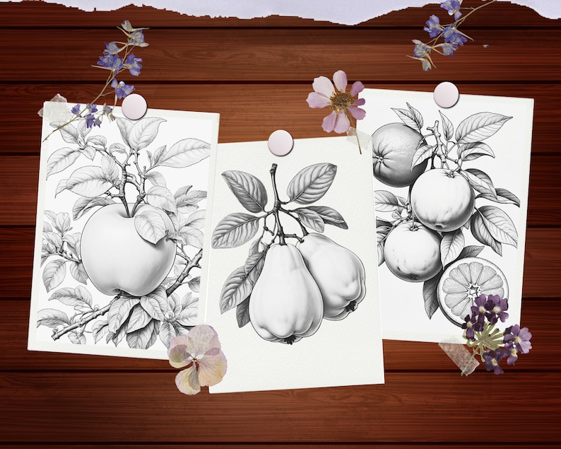 Peut inclure: Trois illustrations en noir et blanc de fruits sur des feuilles de papier s&eacute;par&eacute;es. La premi&egrave;re illustration montre une pomme sur une branche avec des feuilles. La deuxi&egrave;me illustration montre deux poires sur une branche avec des feuilles. La troisi&egrave;me illustration montre trois oranges et un citron sur une branche avec des feuilles.