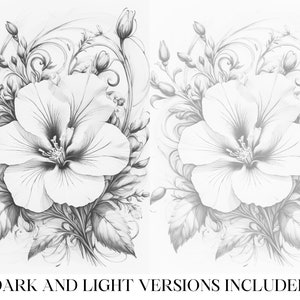 May include: A black and white pencil drawing of a single hibiscus flower with intricate details in the petals and leaves. The flower is surrounded by delicate, swirling vines.