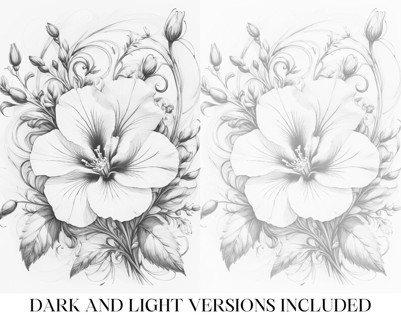 May include: A black and white pencil drawing of a single hibiscus flower with intricate details in the petals and leaves. The flower is surrounded by delicate, swirling vines.