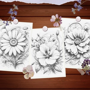 May include: Three black and white pencil drawings of flowers on white paper. The drawings are framed with a decorative border. The flowers are a daisy, a hibiscus, and a poppy.