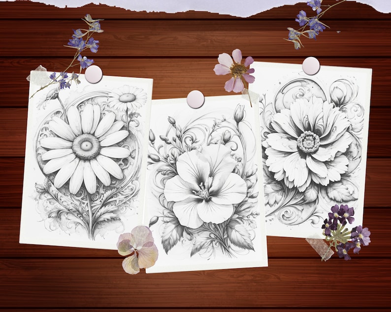 May include: Three black and white pencil drawings of flowers on white paper. The drawings are framed with a decorative border. The flowers are a daisy, a hibiscus, and a poppy.