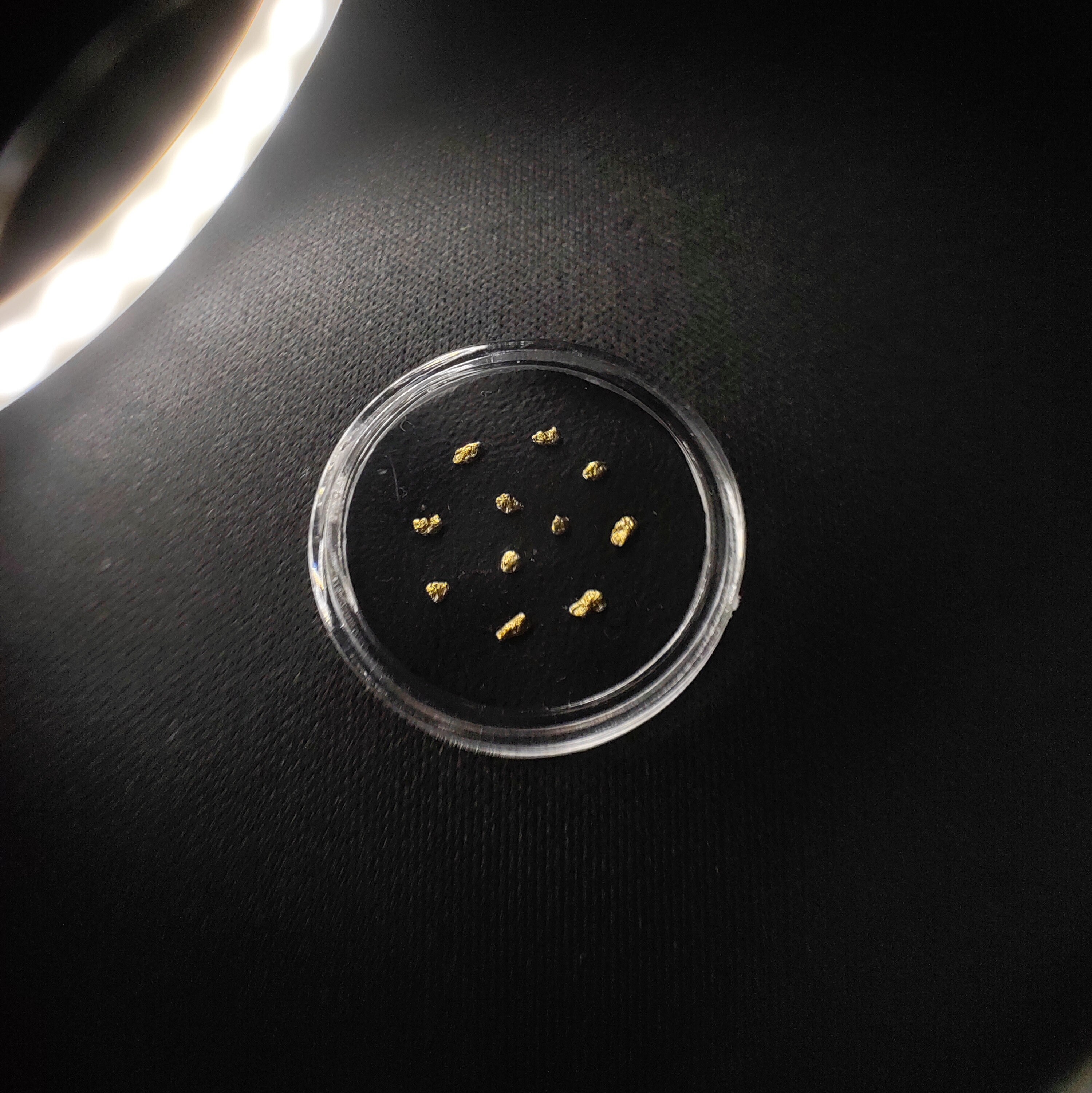 Gold Nugget Souvenir, Investment Gift Etsy