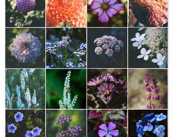 Impressions florales, lot de 17 photos de fleurs, art mural botanique