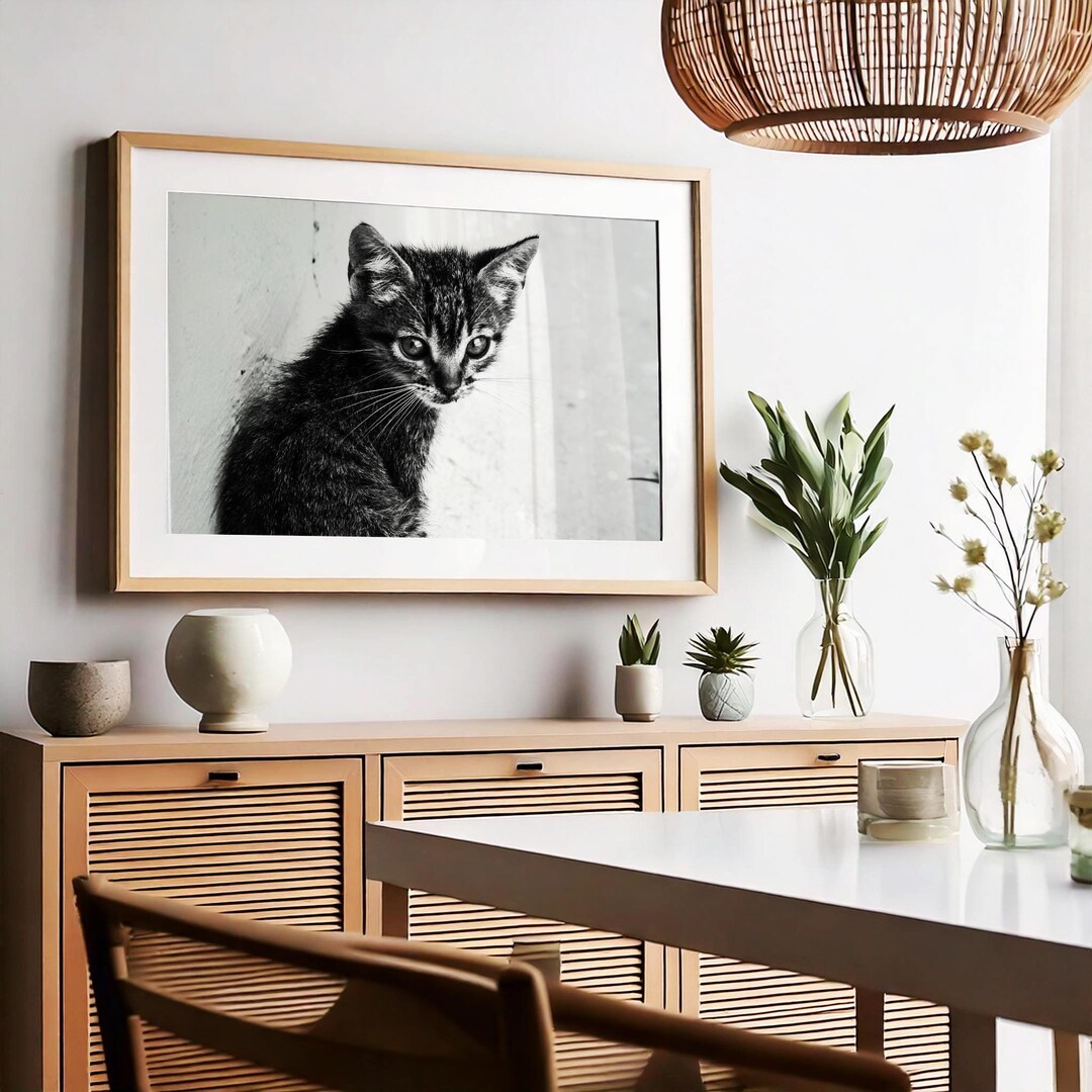 Adorable Kitten in Black & White - Minimalist Cat Art Print - Etsy