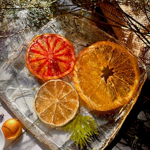 Orange Lime Grapefruit Real Fruit Resin Coaster, Housewarming Decor, Kitchen Decor, Table Accessories