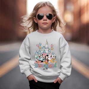Puede incluir: Una sudadera blanca con un gr&aacute;fico colorido de personajes de Disney frente a un castillo, con la palabra "Disneyland" y "Est. 1955". La sudadera es usada por un ni&ntilde;o con gafas de sol.