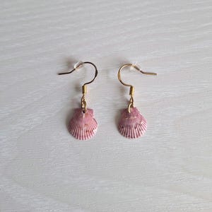 May include: A pair of dangle earrings featuring small, natural pink scallop shells suspended from gold-toned metal fishhook wires. Each shell has a ribbed texture and subtle color variations, attached to the ear wire by a small gold-colored jump ring.