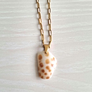 Real Junonia Necklace on Gold Paperclip Chain. Personally Collected from SWFL Beaches, Beach Found Jewelry