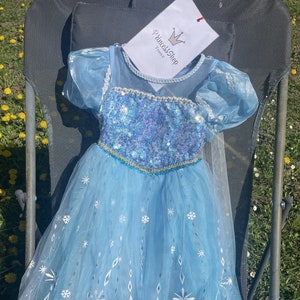 A toddler's Elsa costume with a sparkly bodice and icy blue tulle skirt, laid out on a chair amidst a field of dandelions