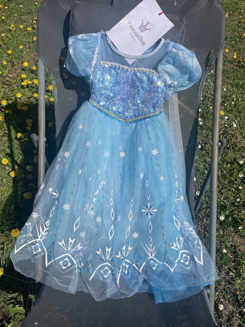 A toddler's Elsa costume with a sparkly bodice and icy blue tulle skirt, laid out on a chair amidst a field of dandelions