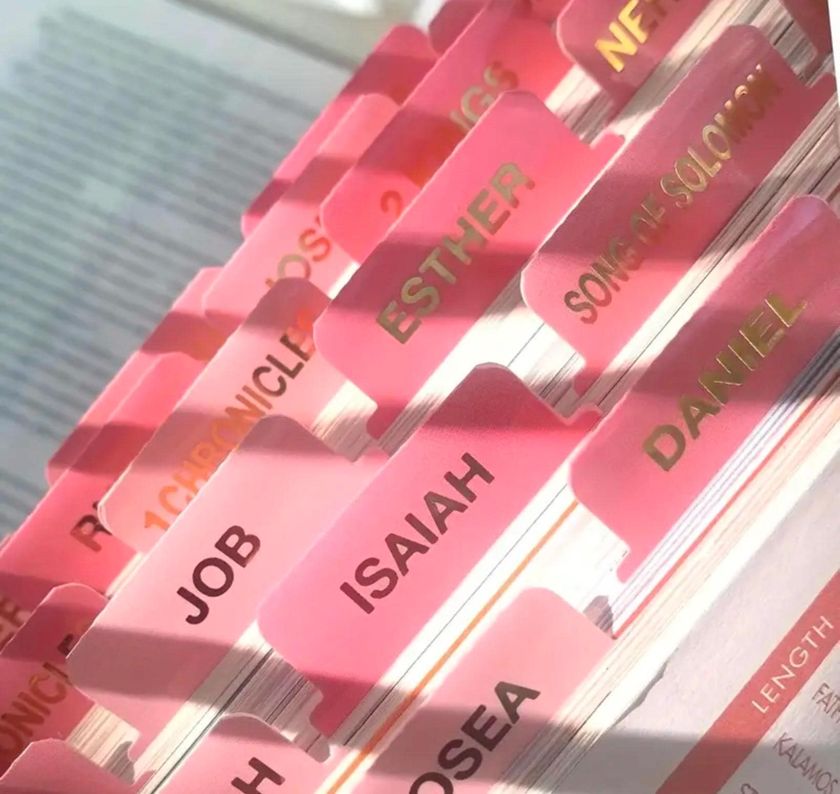 Pink and Gold Laminated Bible Tabs, Bible Study Supplies, Study Bible ...