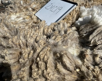 Raw Rambouillet/Merino Fleece