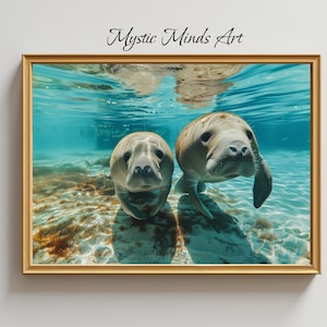 Printable Serenity: Manatees in Florida Springs. Underwater photo of two serene manatees in Florida springs. PRINTABLE DIGITAL ART