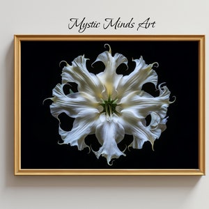 Printable Delicate White Flower: Exquisite white flower with swirling petals on a black background. Printable Digital Art-Instant Download