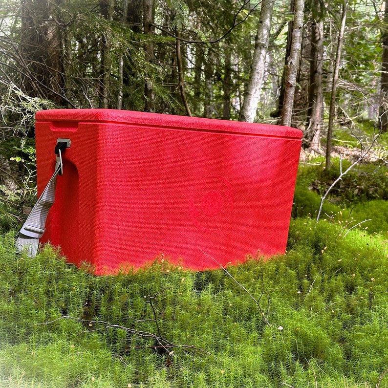 Red cool box by cagoon, positioned in the forest onto a green moose ground. Sun is shining through the trees onto the box.