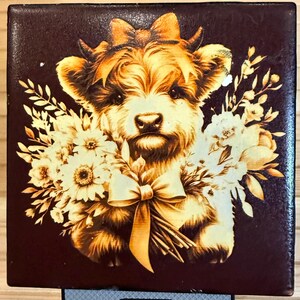 Beautiful painted ceramic coasters!