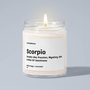 Scorpio Candle, Scorpio Birthday Gift, Star Sign Candle, Funny Zodiac Birthday Gift, Zodiac Candle, Astrology Candle, Funny Candle, BFF Gift