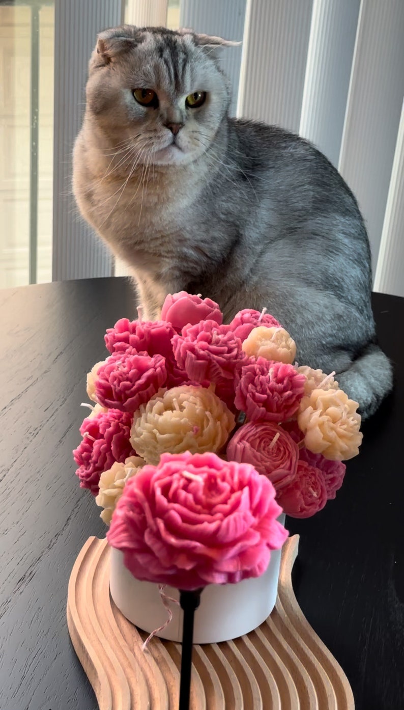 Pode incluir: Um buqu&ecirc; de velas em forma de flor em tons de rosa e creme, dispostas em um vaso de cer&acirc;mica branco. Um gato cinza com orelhas dobradas est&aacute; sentado atr&aacute;s das velas em uma superf&iacute;cie preta. As velas est&atilde;o em uma bandeja de madeira.
