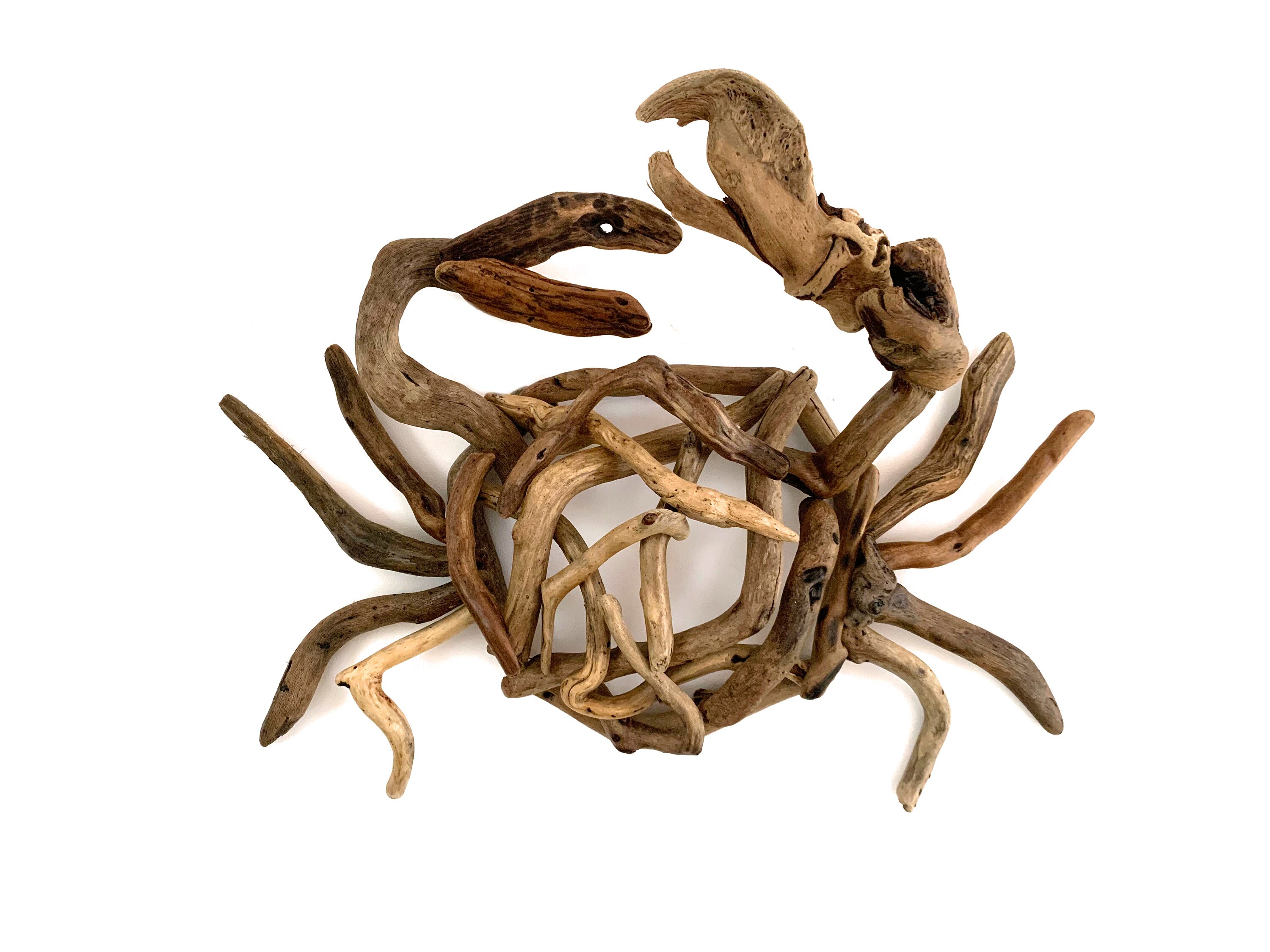 Crab Wall Art main image 0