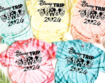 Camisetas familiares de Disney, camisetas de Disneyworld, camisetas familiares de Disney y Disney a juego, camisetas de Disney, camisetas de Disneyland, viaje a Disney