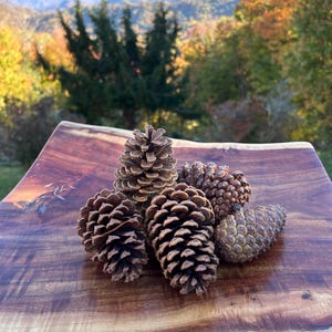 May include: A collection of five brown pine cones resting on a polished, dark reddish-brown wooden board with a natural live edge. The pine cones vary in size and texture, featuring overlapping woody scales arranged in a spiral pattern.