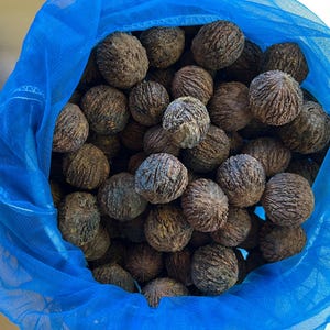 Puede incluir: Una taza de cerámica blanca con un asa negra y el texto "But First, Coffee" en negrita negra. La taza está sobre una superficie de madera. La taza mide aproximadamente 10 cm de alto.