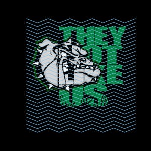 Boling Bulldogs, they not like us, green and black