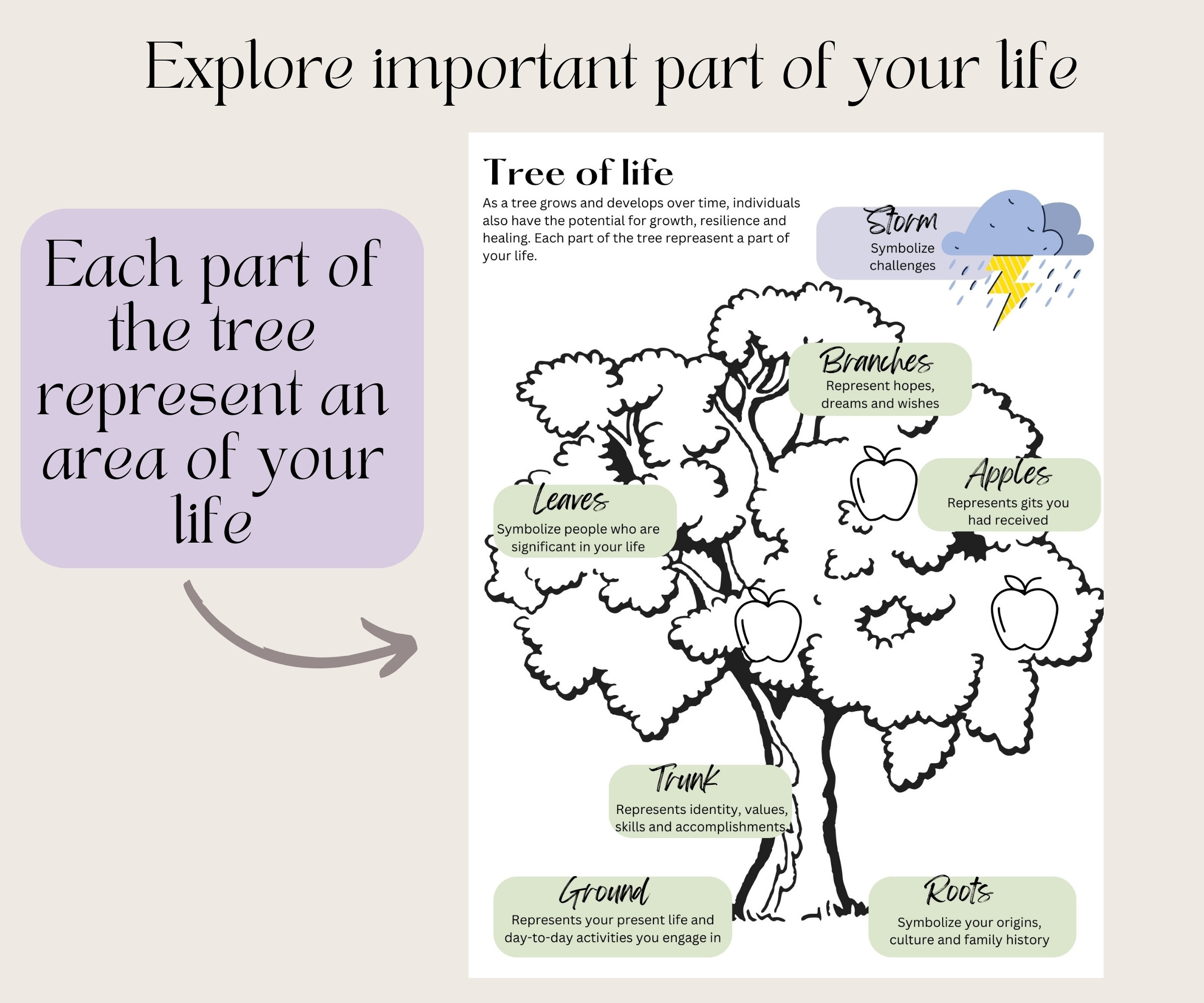 Tree of Life Narrative Therapy - Il Fullxfull.6022793965 A05e 