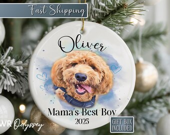 May include: A white ceramic Christmas ornament featuring a portrait of a golden doodle dog with the name "Oliver" and the text "Mama's Best Boy 2025". The ornament has a blue watercolor background with hearts and a blue collar.