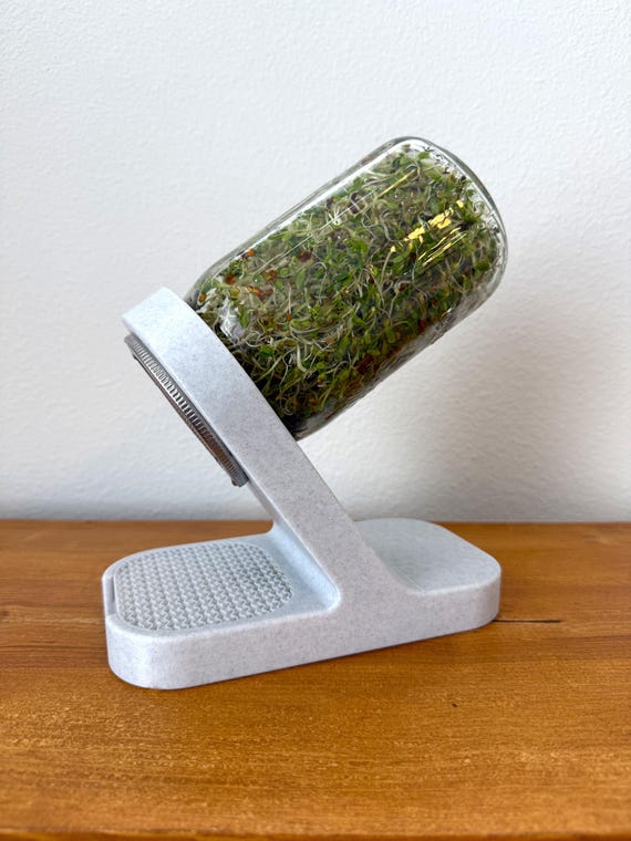 Seed Sprouting Kit | Microgreens Mason Jar Sprouter with Starter Seeds, Stainless Steel Mesh Lid & Drainage Stand | Growing Kit