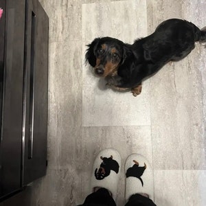 Cute Cartoon Dog Dachshund Pattern Slippers, Casual Slip On Plush Lined Shoes, Comfortable Indoor Slippers image 2