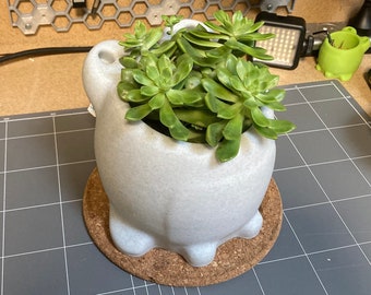 Frog Pot