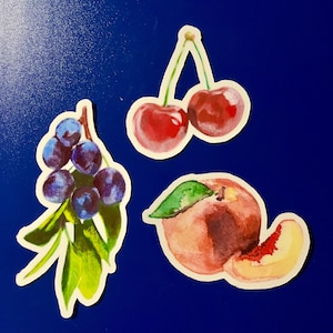 Adesivos de frutas, vinil à prova d'água, conjunto de adesivos estéticos desenhados à mão